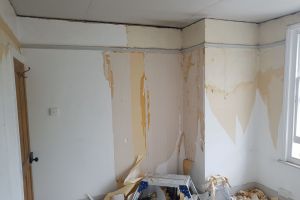 Wallpaper Stripping