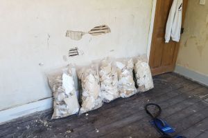 Lath and Plaster walls after wallpaper removal